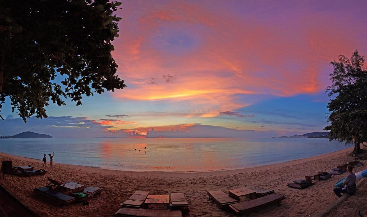 Satva Samui Yoga And Wellness Resort Amphoe Koksamui المظهر الخارجي الصورة