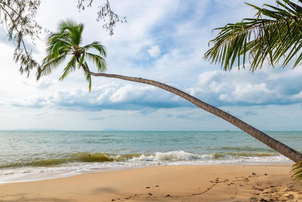 Satva Samui Yoga And Wellness Resort Amphoe Koksamui المظهر الخارجي الصورة